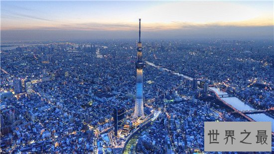 世界最大城市排行榜前十名,纽约的面积竟然达到了789万平方千米!