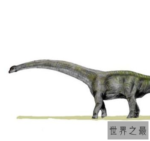 世界最大的史前动物Top10,如今已经全部都灭绝了。