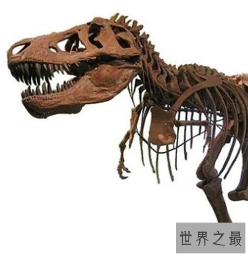 世界最大的史前动物Top10,如今已经全部都灭绝了。