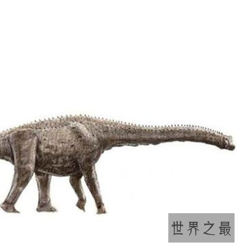 世界最大的史前动物Top10,如今已经全部都灭绝了。