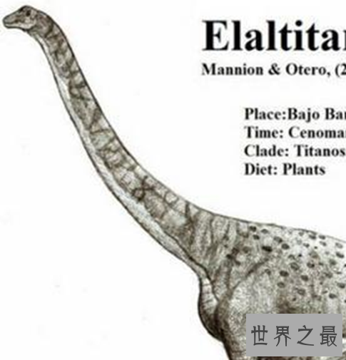 世界上最大的恐龙,体重达到了66吨。