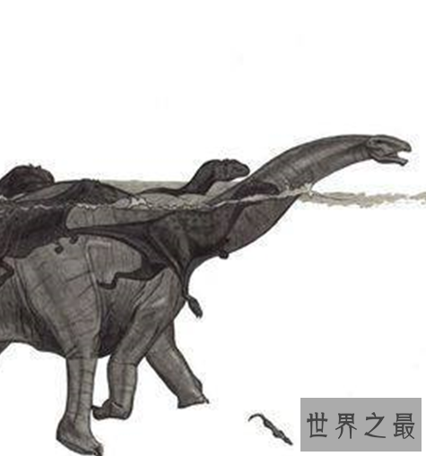 世界上最大的恐龙,体重达到了66吨。