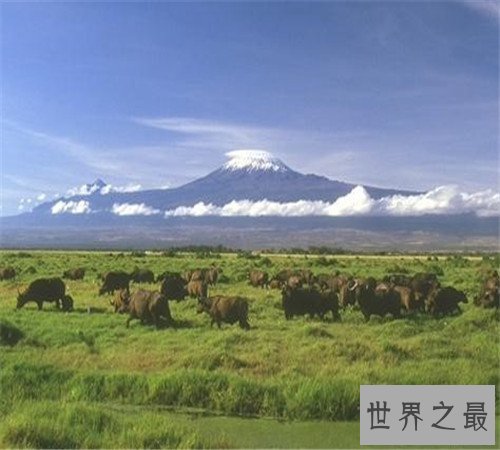 世界上最大的高原,竟然不是青藏高原