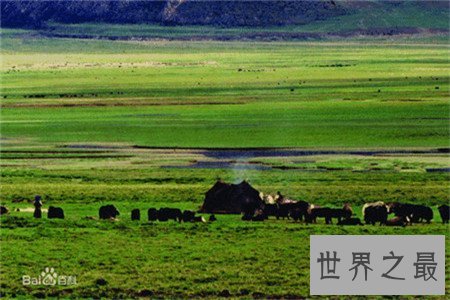 你知道世界上最大的平原在什么地方吗,竟然不在中国