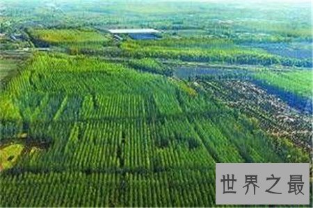 你知道世界上最大的平原在什么地方吗,竟然不在中国