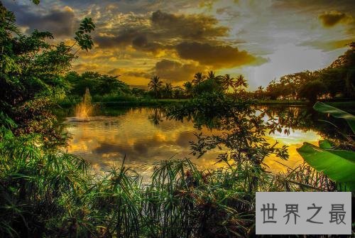 牙买加在哪个洲,让我们一起来了解一下神奇的牙买加!