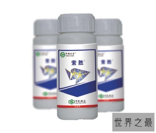 蚊子怕什么,教你个绝招整晚开窗睡觉都不怕