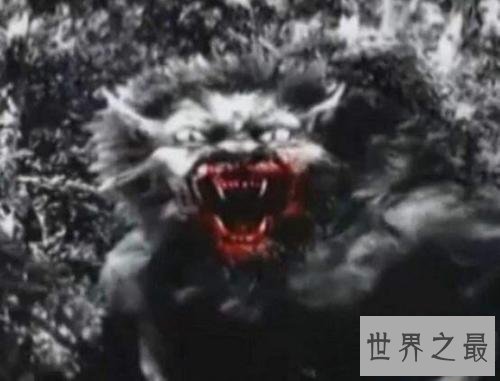 传说中的布雷路怪兽,你绝对想象不到到底有多么可怕!