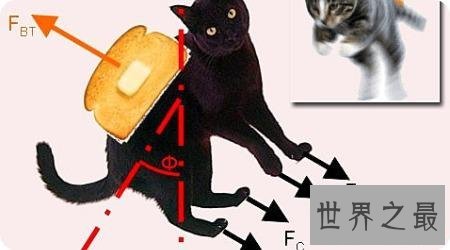黄油猫悖论是什么东西?虚假的理论博取关注度罢了