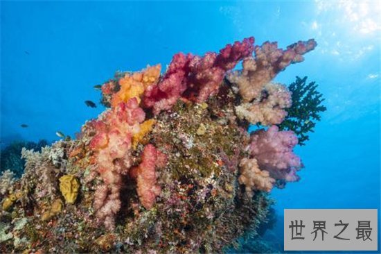 世界上最大的海,最受争议的最大之海