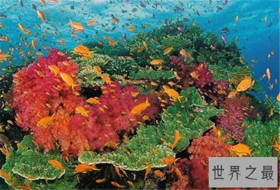 世界上最大的海,最受争议的最大之海