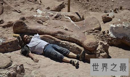 世界上最大的恐龙化石,一根骨头2.4米(总高7层楼)