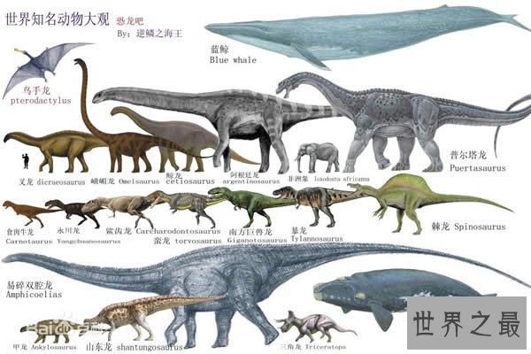 世界上最大的动物长80米,盘点20个巨型恐怖动物