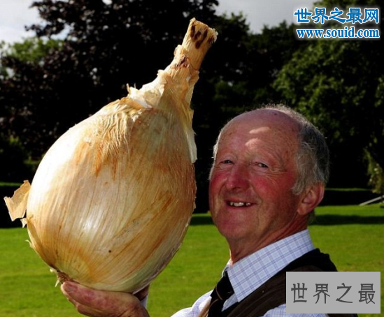 世界上最大的花菜,英国老汉种出54斤超级大花菜