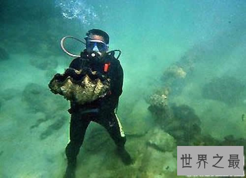 世界上最大的珍珠,重78斤被雪藏10年(价值1亿美金)