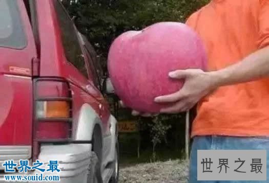 世界上最大的冰淇淋,重达1.4吨/高1.67米(图)
