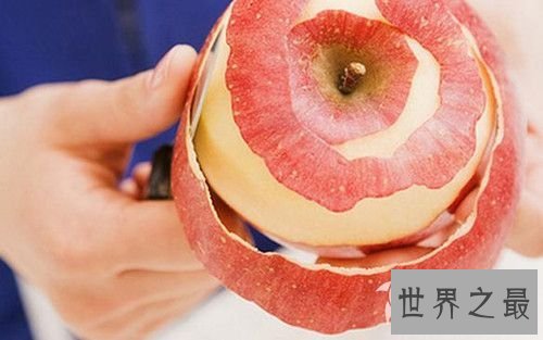 世界上最大的苹果,重达3斤/周长45厘米(图)