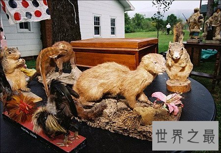 世界上最长的跳蚤市场