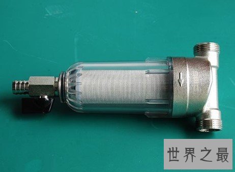 世界上最小的净水器,只有2厘米长1厘米宽