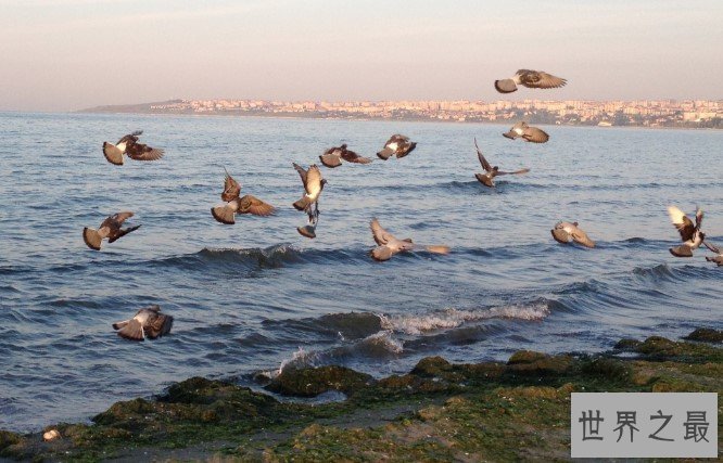 世界最小的海,仅1.13万平方千米