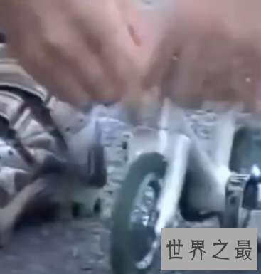 可以承受住200斤重量!世界上最小的自行车。