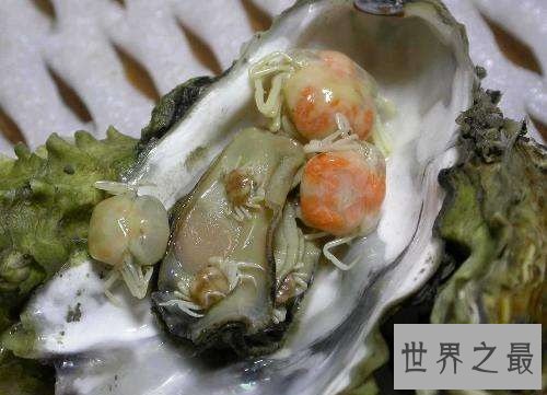 世界上最小的螃蟹,扒一扒豆蟹的底细!