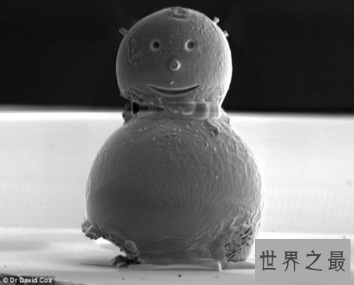 世界上最小的雪人 世界上最小的雪人