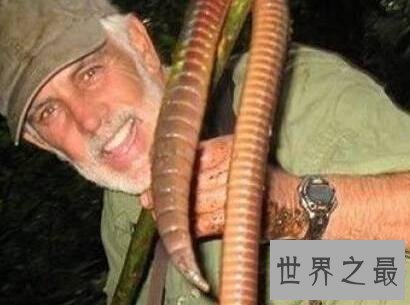 世界最长的蚯蚓,竟然长达三米多!