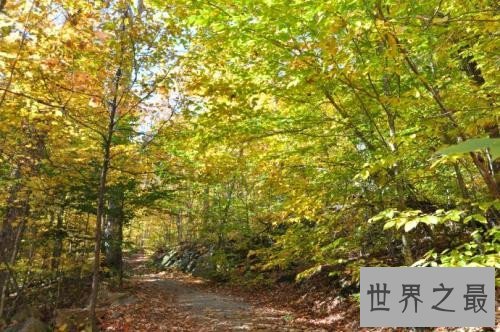 世界上最长的10条河流排行榜,黄河仅仅排到第五