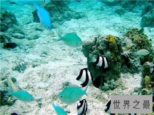 世界上最长的10条河流排行榜,黄河仅仅排到第五