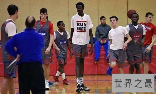 最长的腿居然是他?这双腿可真得值钱呢!