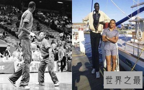 最长的腿居然是他?这双腿可真得值钱呢!