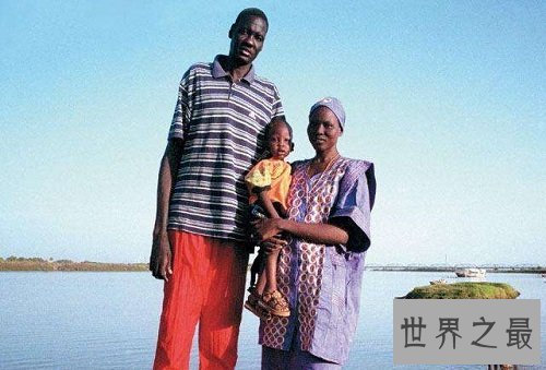 最长的腿居然是他?这双腿可真得值钱呢!