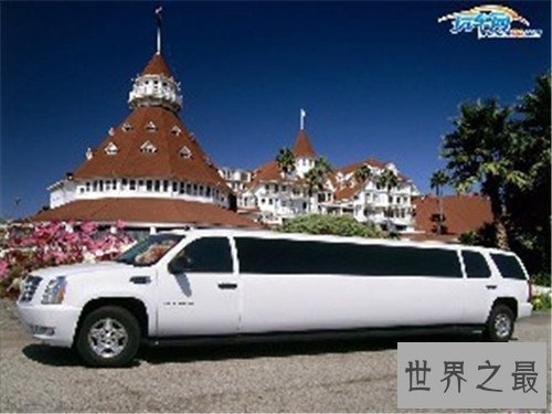 世界上最长的豪华轿车,内部还配有游泳池和草坪