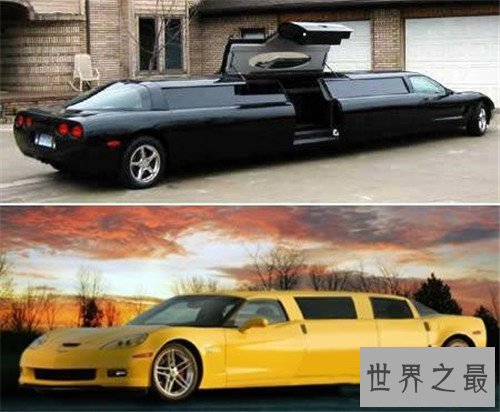 世界上最长的豪华轿车,内部还配有游泳池和草坪