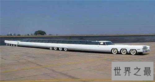 世界上最长的豪华轿车,内部还配有游泳池和草坪