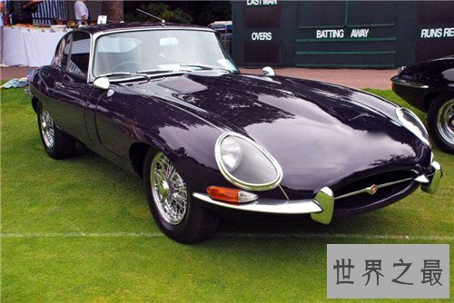 世界上最长的豪华轿车,内部还配有游泳池和草坪