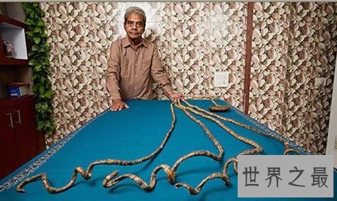 世界上最长的指甲,比女鬼的指甲还可怕!