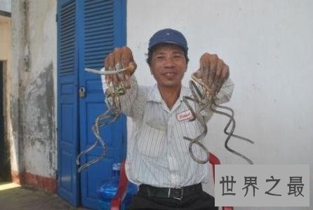 世界上最长的指甲,比女鬼的指甲还可怕!