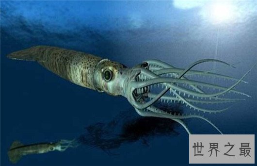 世界上游得最快的鱼,金枪鱼瞬时速度可达160km/h(却是被逼无奈)