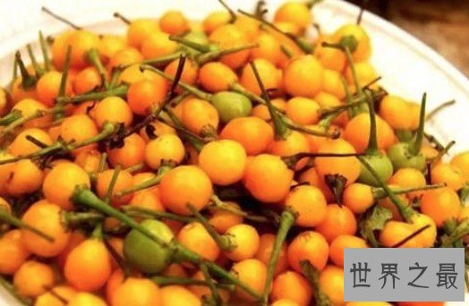 世界上最贵的辣椒,要价25000美刀一公斤