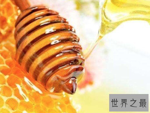 世界上最贵的蜂蜜,售价高达每公斤5000欧