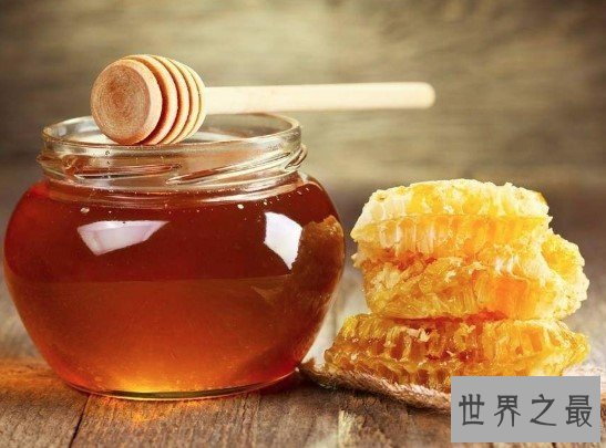 世界上最贵的蜂蜜,售价高达每公斤5000欧