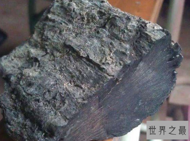 世界上最贵的木材,有着东方神木和植物木乃伊之称