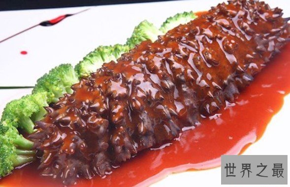 世界上最珍贵的海参,海参之王梅花参