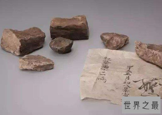 世界最贵的定香剂,价值600万元的抹香鲸粪便