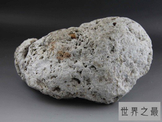 世界最贵的定香剂,价值600万元的抹香鲸粪便