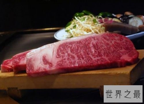世界最贵的盒饭,顶级的食材出色的制作!