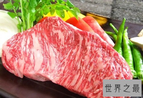 世界最贵的盒饭,顶级的食材出色的制作!