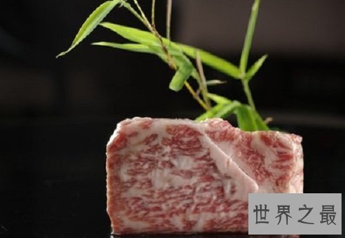 世界最贵的盒饭,顶级的食材出色的制作!